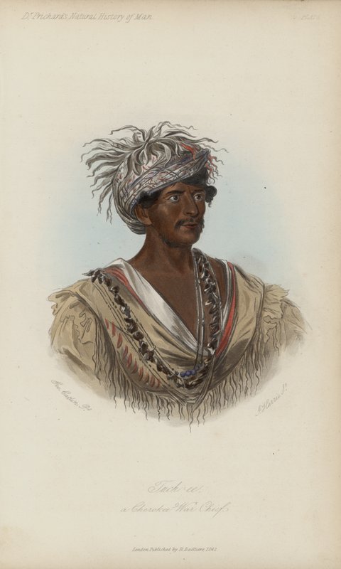 Tuch-ee, válečný náčelník Cherokee (akvatinta) od after George Catlin