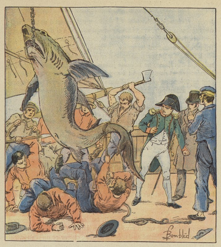 Úlovek žraloka od after Louis Charles Bombled