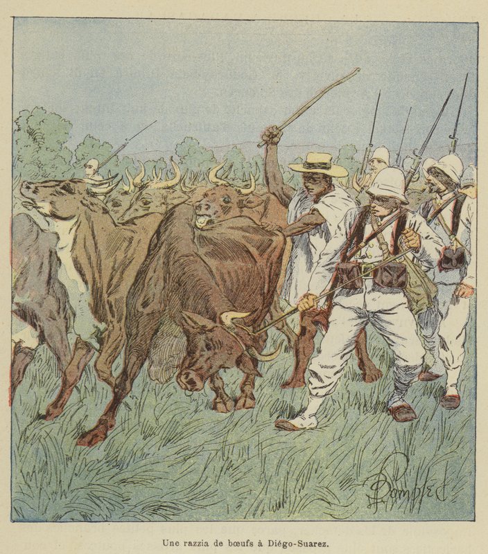 Nájezd volů v Diego-Suarez od after Louis Charles Bombled