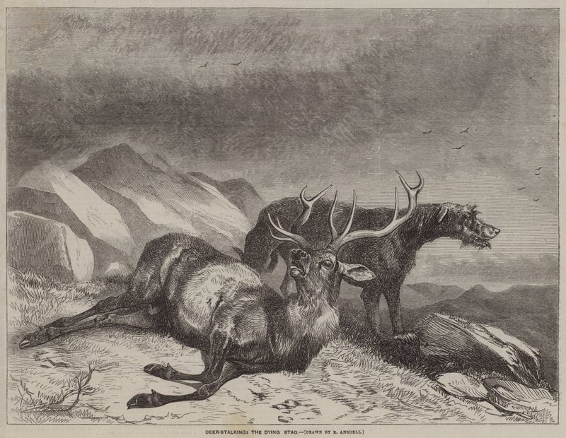 Lov jelenů, umírající jelen od after Richard Ansdell