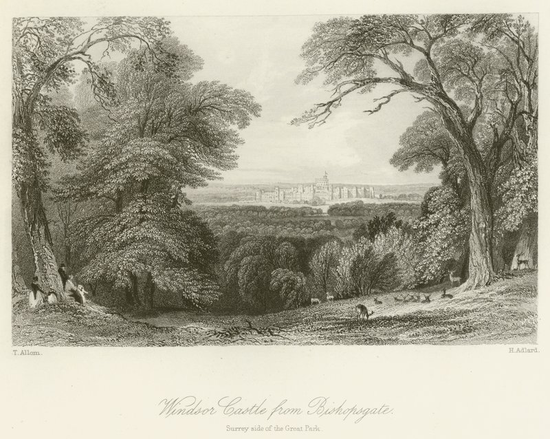 Hrad Windsor z Bishopsgate, Surreyská strana Velkého parku od after Thomas Allom
