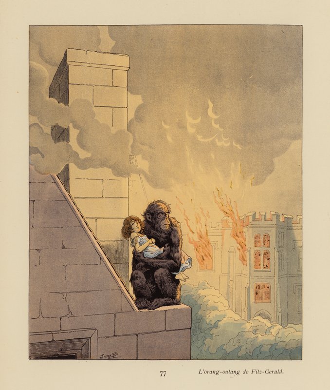 Fitzgeraldův orangutan (barevná litografie) od pseudonym for Onfray de Breville Jacques Job