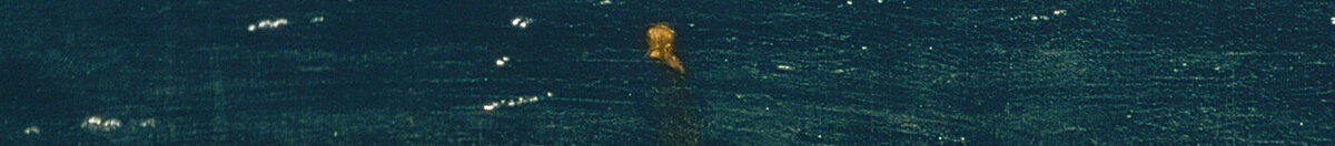Mnich u moře (Caspar David Friedrich), Detail: Mönch am Meeresrand