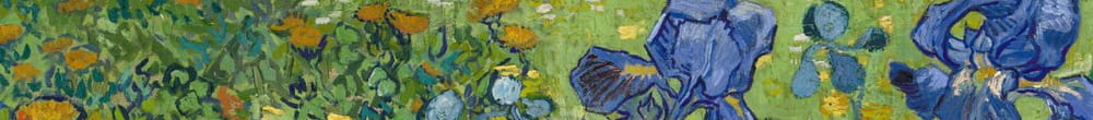 Kosatce (Vincent van Gogh)