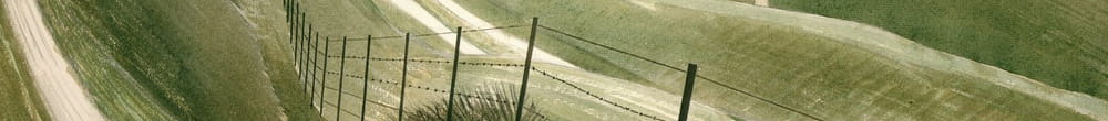 Křídové stezky (Eric Ravilious)