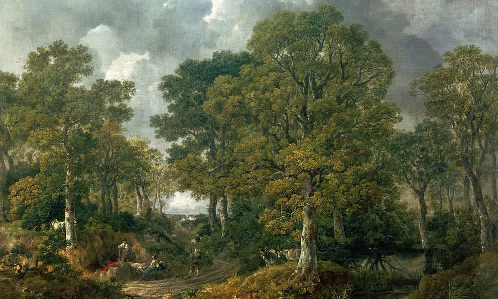 Forest