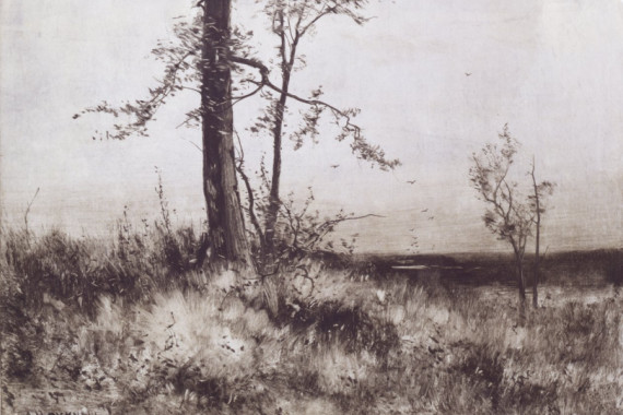 Albion Harris Bicknell