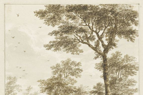 Bartholomeus Barbiers