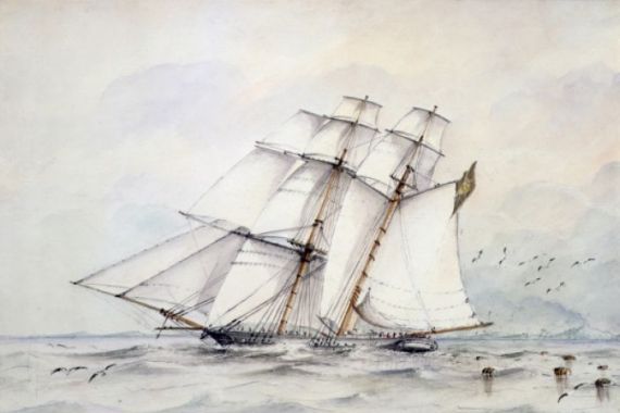C.G. Nelson