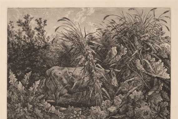 Carl Wilhelm Kolbe, the elder