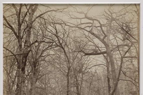 Charles Victor Famin
