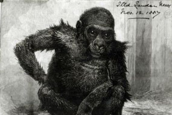 Charles Whymper
