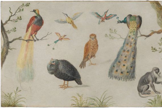 Circle of Jan van Kessel the Elder