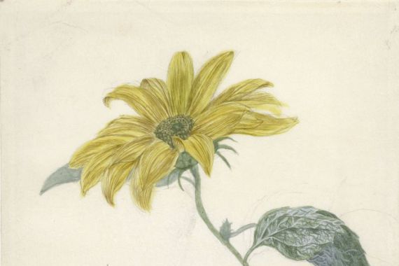 D. van Alphen