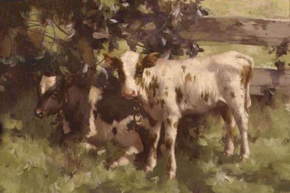 David Gould