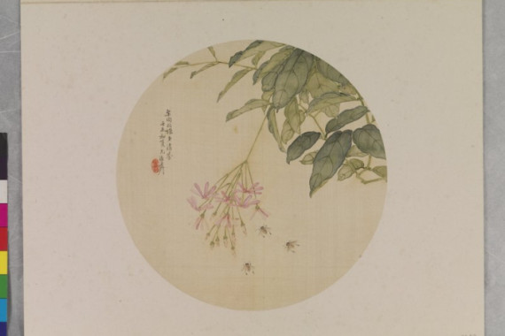 Deyi Wu