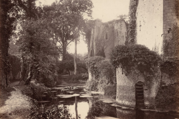 George Esq. Shadbolt