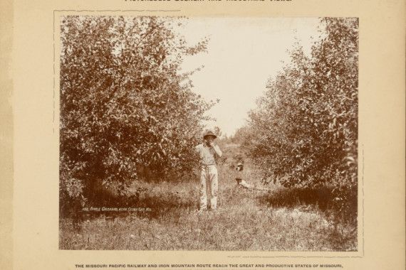 H. C. Townsend