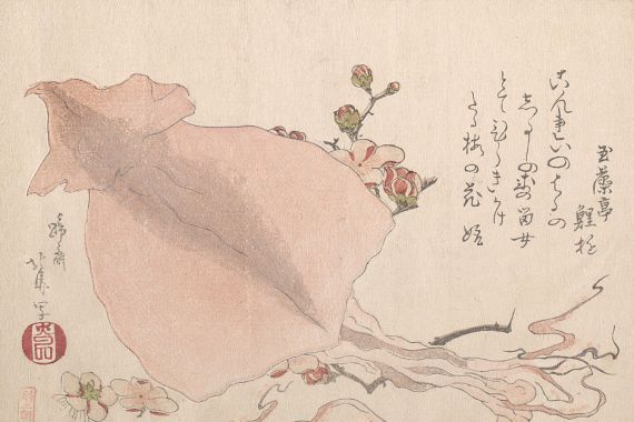 Hokuba/Chou