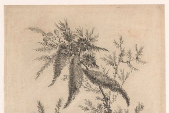 Johann Heinrich Hess