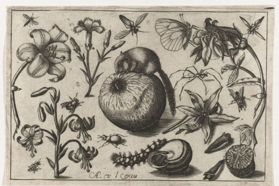 Nicolaes de Bruyn (possibly)