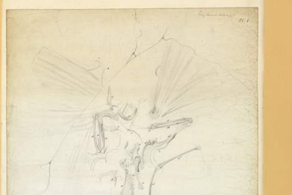 Richard Owen