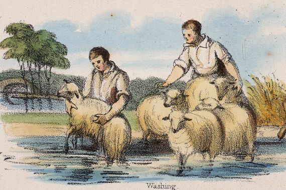 Robert Kent Thomas/Benjamin Waterhouse Hawkins
