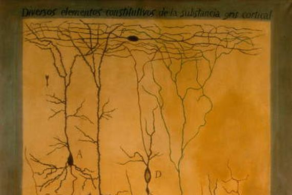 Santiago Ramón y Cajal