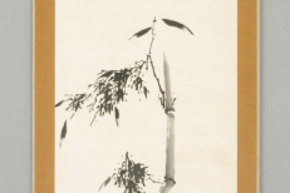 Shokon Taiho