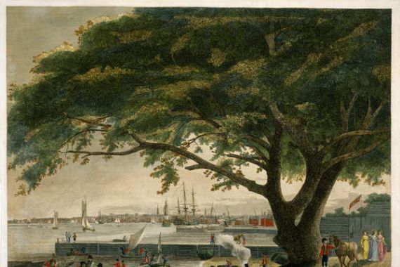 Thomas (after) Birch