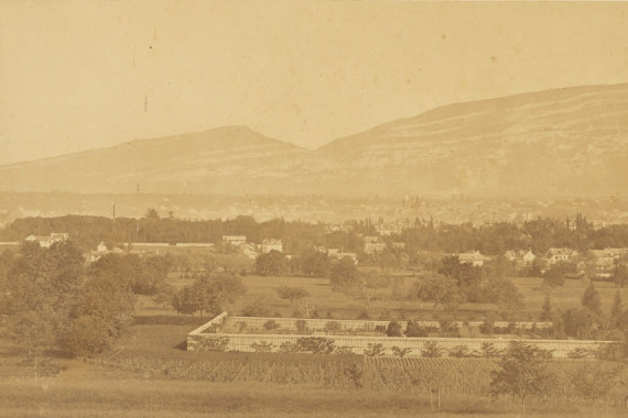 V. Muzet