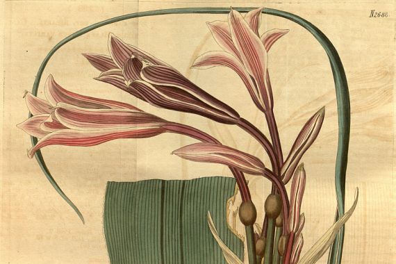 W. Herbert