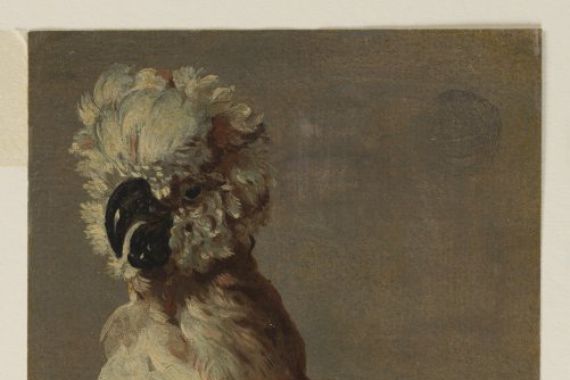 after Frans Snyders