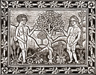 Strom, ze kterého Adam snědl jablko, faksimilie z knihy meditace, první kniha vytištěná v Albi, Languedoc, v roce 1481