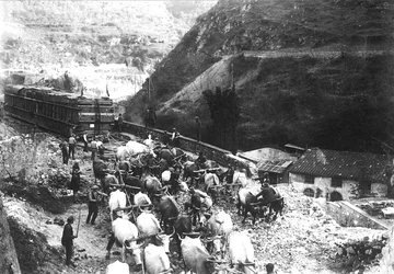 Množství volů převáží obrovský konvoj s mramorem, který byl právě přivezen do údolí z apuánského lomu (čb foto)