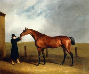 Bay Colt Lanýž plukovníka Udnyho od Čaroděje v držení ženicha, 1815