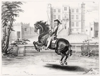 Ilustrace z Jezdeckého manuálu, vyryl Peeter Clouwet (1629-70), 1658