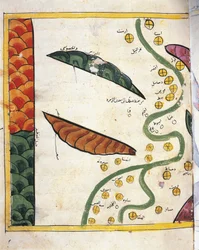 Mapa delty Nilu a dvou oáz (vellum)