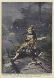 Uprostřed indického pralesa čeká muž na vlak u železniční trati.