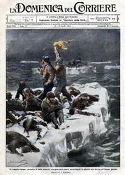 Rybáři tuleňů, z nichž někteří zemřeli, zůstali uvězněni na oceánu unášeným ledem. Ill. de Beltrame. ""La Domenica del corriere"". 12-19/04/1914.