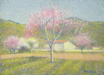 Orchard in Springtime, Apple Trees in Bloom, cca 1920-29 (olej na bavlně)