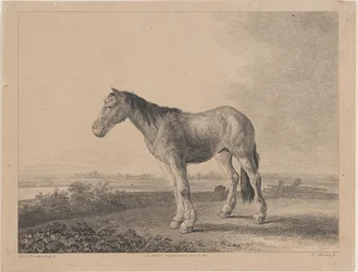 Kůň stojící na poli v profilu vlevo, 1809.