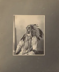 Zabití strakatého koně, Assiniboines
