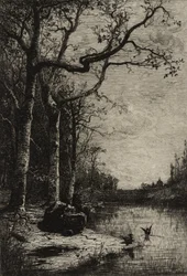 Burbanche Marsh (velká deska), kolem roku 1870 (lept)