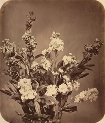 Kytice, c. 1855.