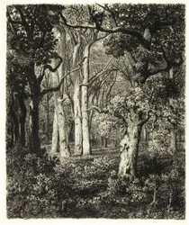 Old Oaks v Bas Bréau
