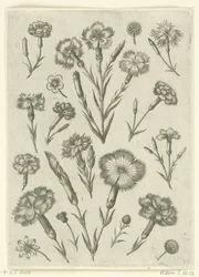 Různé hněvy Florilegium (název série)