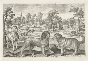 psi Čtyřnohá zvířata (název série) Animalivm Qvaddrvpedvm (název série)