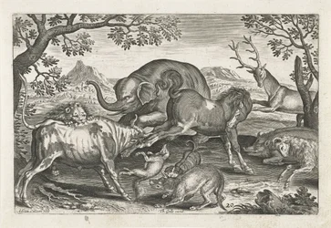 bojová zvířata Čtyřnohá zvířata (název série) Animalivm Qvaddrvpedvm (název série)