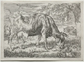Kráva a dvě ovce u paty stromu, 1670.